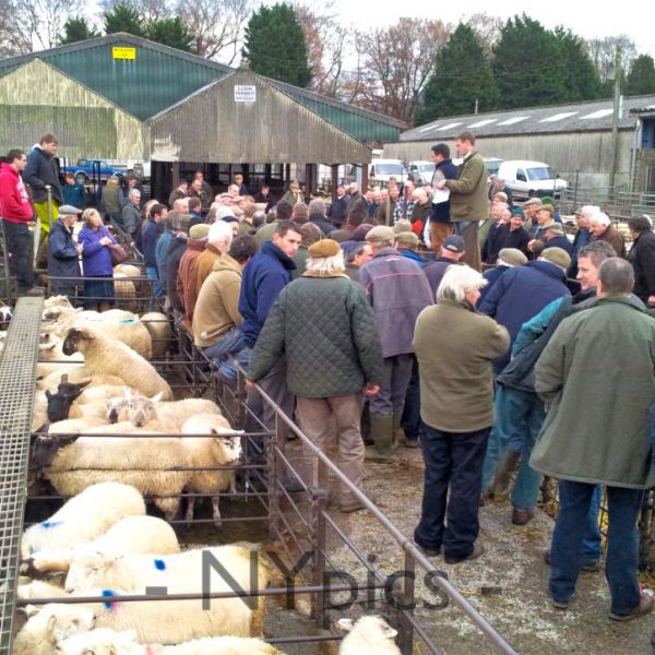 The Livestock Market Abergavenny