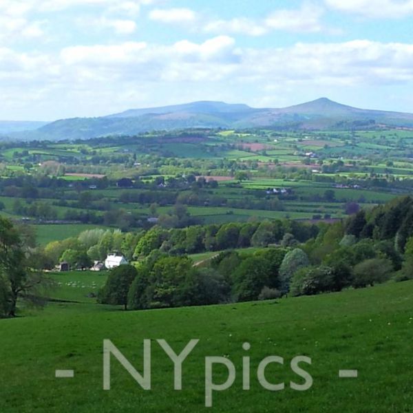 The Sugarloaf Viewed From Coed y Bwnydd