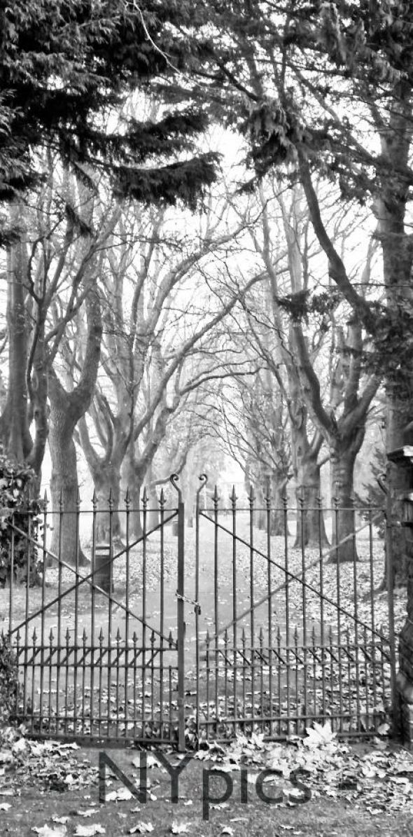 Tree Lined Path At Bailey Park Abergavenny