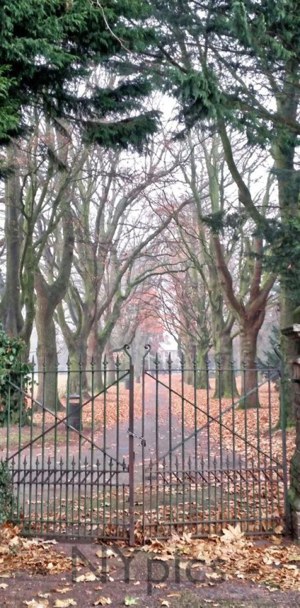 Tree Lined Path At Bailey Park Abergavenny