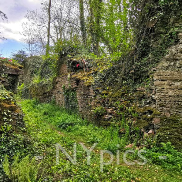 Llangibby Castle