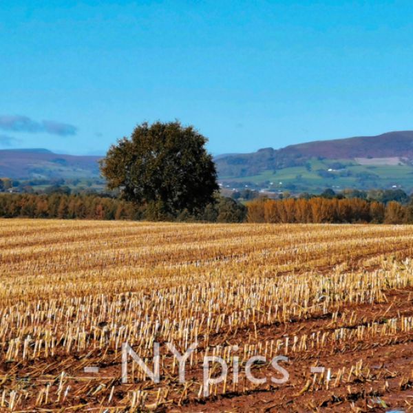  The Sugarloaf and Skirrid Mountains