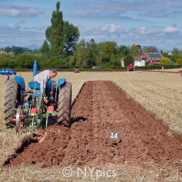 Ploughing Competition In Monmouthshire