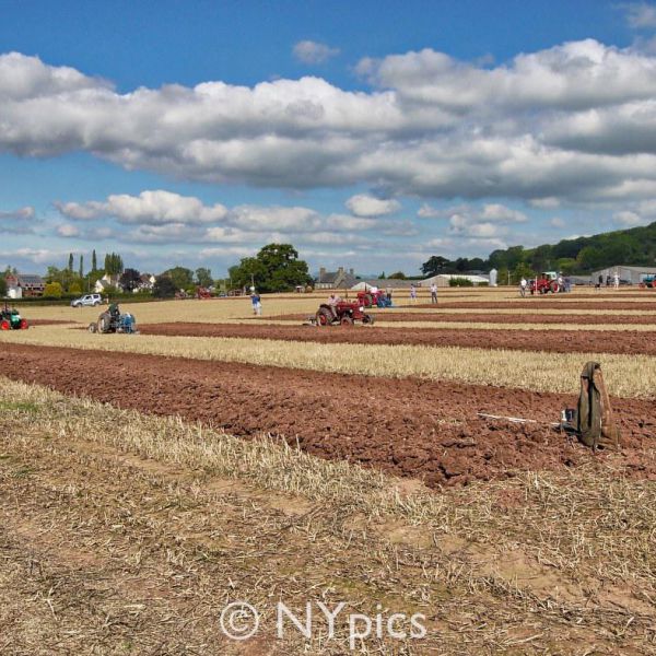 Ploughing Competition In Monmouthshire