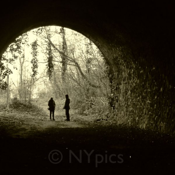 Old Disused Railway Tunnel, Usk