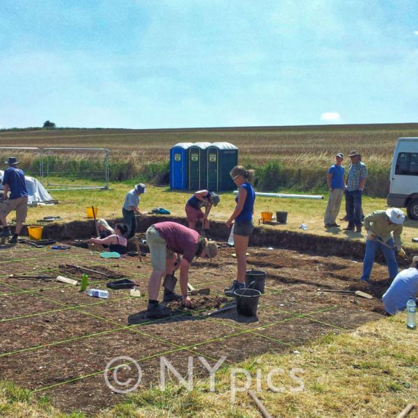 Archaeological Dig West Kennet Avenue, Avebury, 2014