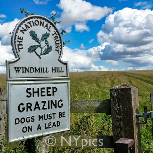 Walk Up To Windmill Hill, Avebury