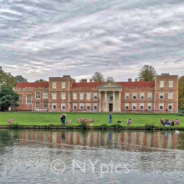 The Vyne