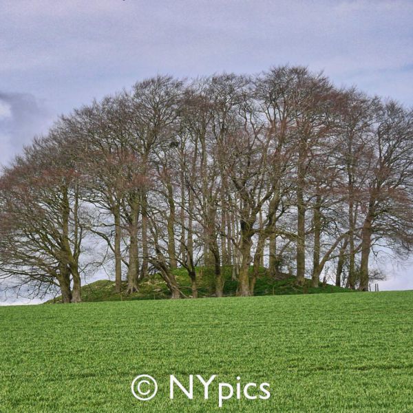 Tumulus Near Avebury