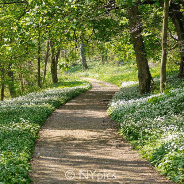 Newark Park