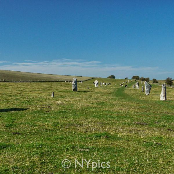 West Kennet Avenue, Avebury