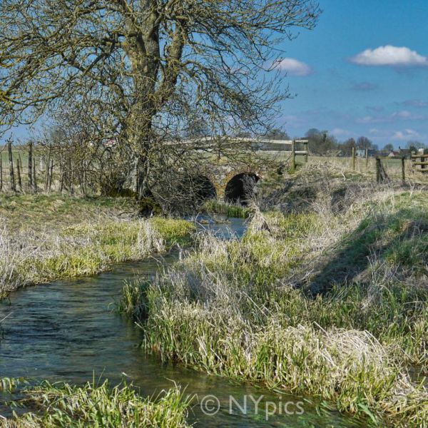 The River Kennet, Avebury