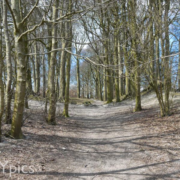 Knoll Down On The Wessex Ridgeway, Near Avebury.