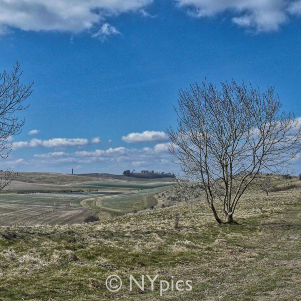 Knoll Down On The Wessex Ridgeway, Near Avebury.