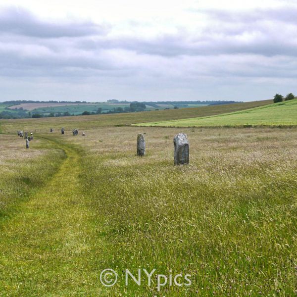 Part Of The West Kennet Avenue, Avebury