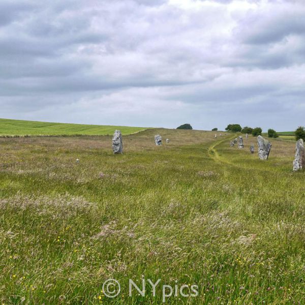 West Kennet Avenue, Avebury