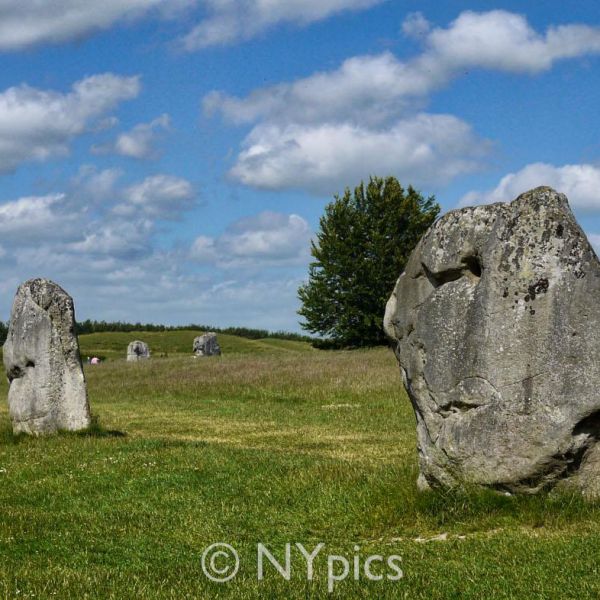 The Outer Circle Of Stones Avebury