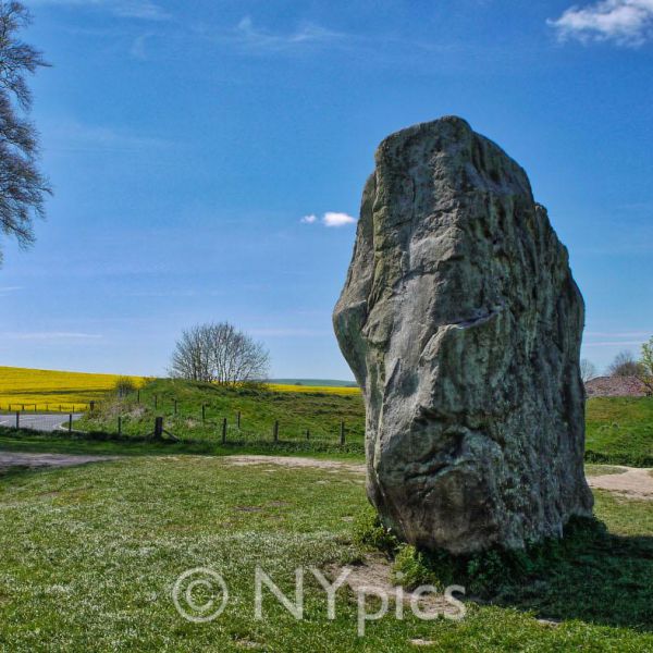 Stone 98 (nearer) and Stone 1 - The Devil's Chair - Avebury