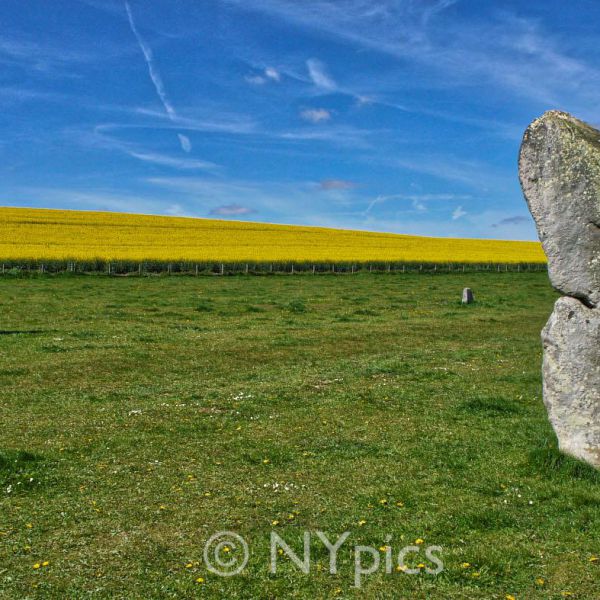 Standing Stones, West Kennet Avenue, Avebury