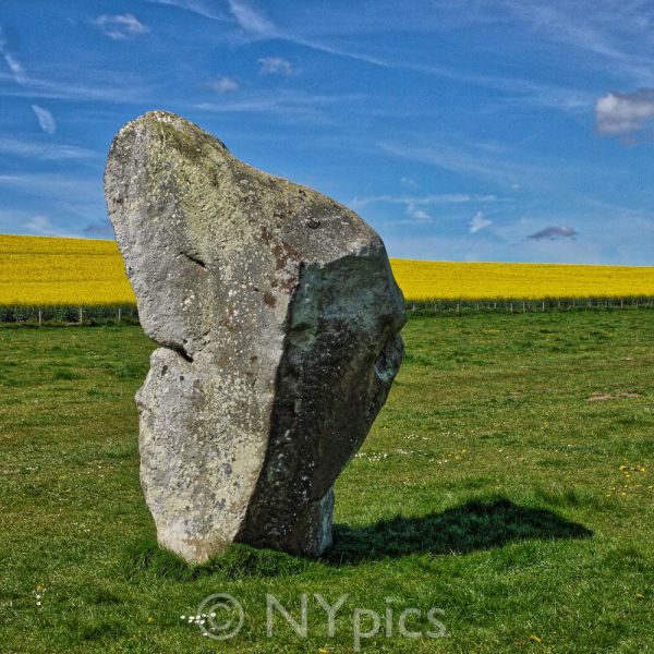 Standing Stone, West Kennet Avenue, Avebury