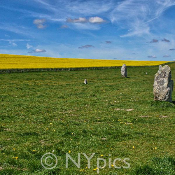 West Kennet Avenue, Avebury