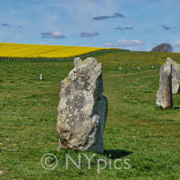 West Kennet Avenue, Avebury