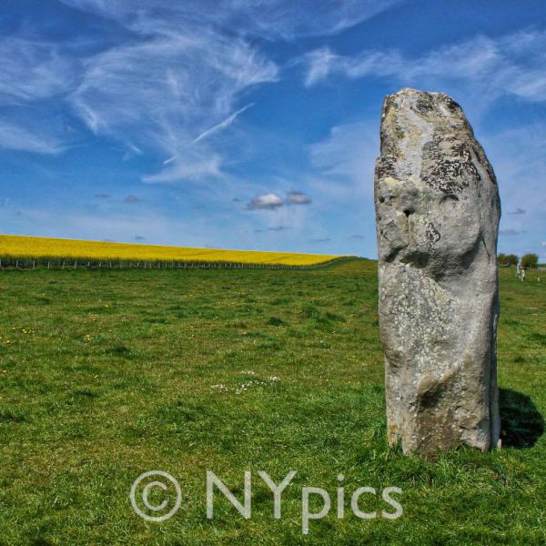 Standing Stones, West Kennet Avenue, Avebury
