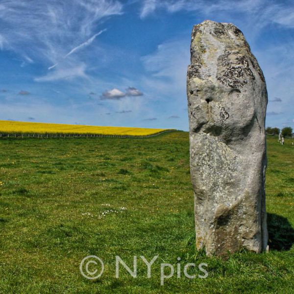 Standing Stones, West Kennet Avenue, Avebury