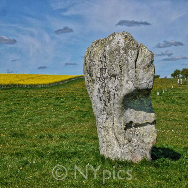 Standing Stone, West Kennet Avenue, Avebury