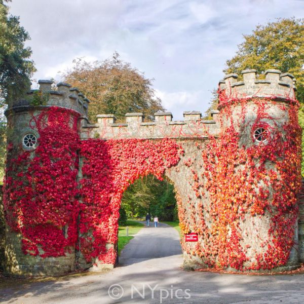 Stourhead