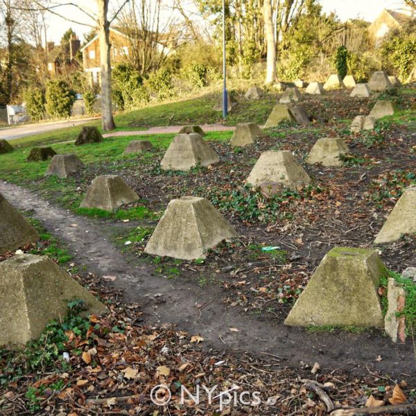 WW2 Tank Traps, Guildford