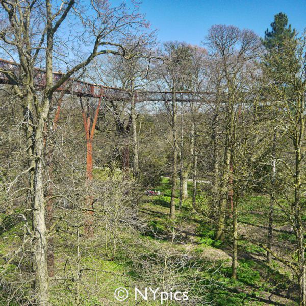 Tree Top Walkway, Kew Gardens