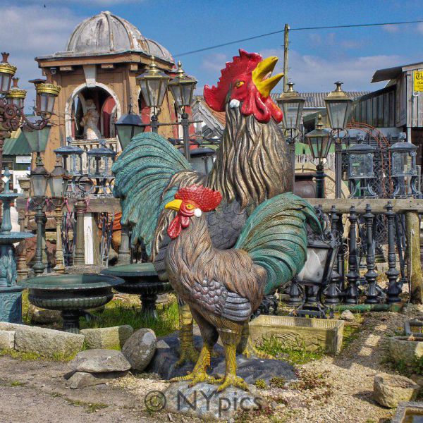Wells Reclamation Company Ltd., Coxley, Wells, Somerset