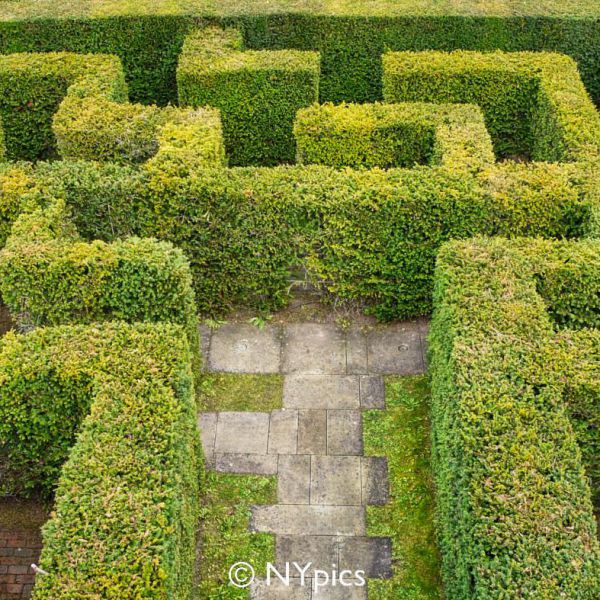 Hampton Court Castle (Herefordshire) Maze