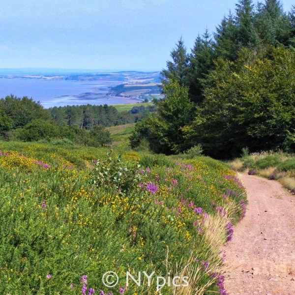 The Walk From Wootton Courtenay to Dunster