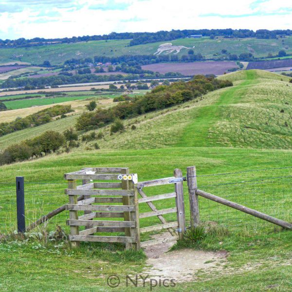 Whipsnade Zoo's Giant Lion Hill Figure Seen From Ivinghoe Beacon