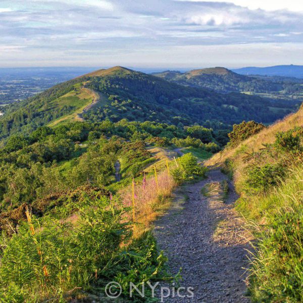 The Malvern Hills Shortly After Sunrise