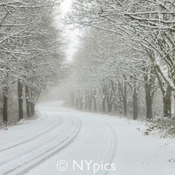 Snow Near Llandenny, Monmouthshire