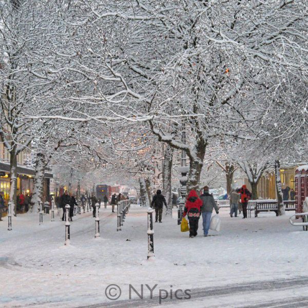 Christmas In Cheltenham