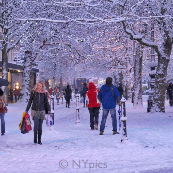 Christmas In Cheltenham