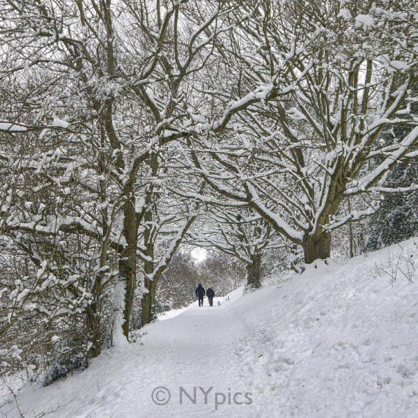 Snow On The Malvern Hills.