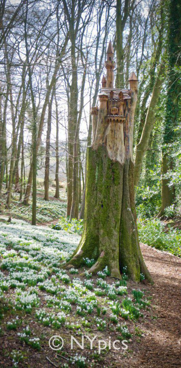 Tree Sculpture At Painswick Rococo Garden