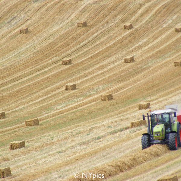 Bailing Hay