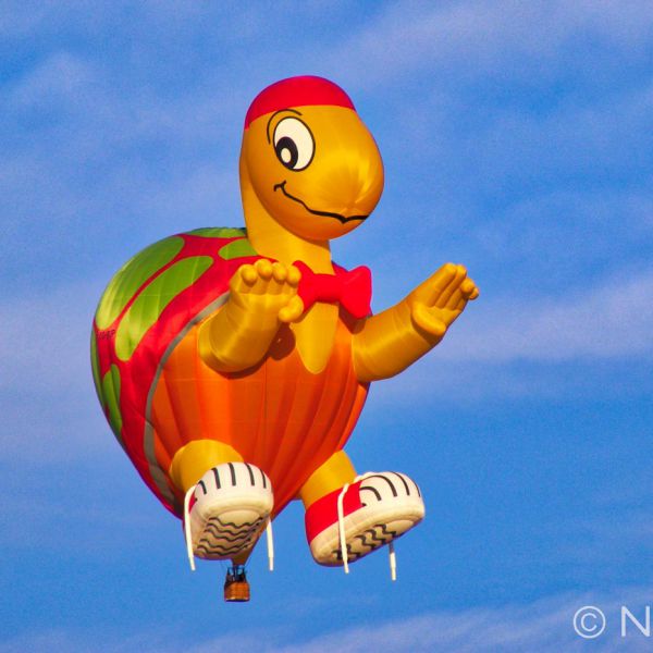 Hot Air Balloon, Bristol