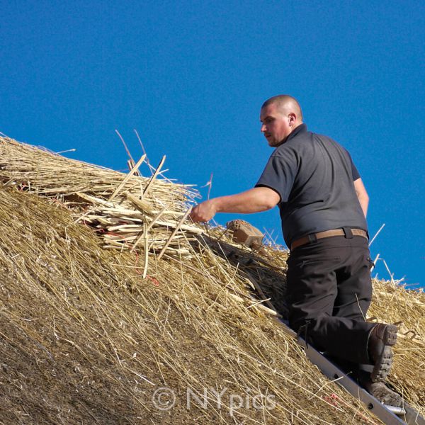 Thatcher Working On A Barn Roof