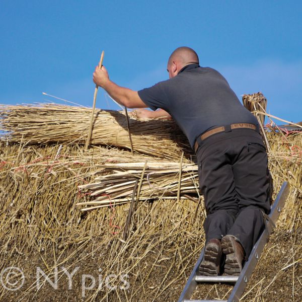 Thatcher Working On A Barn Roof