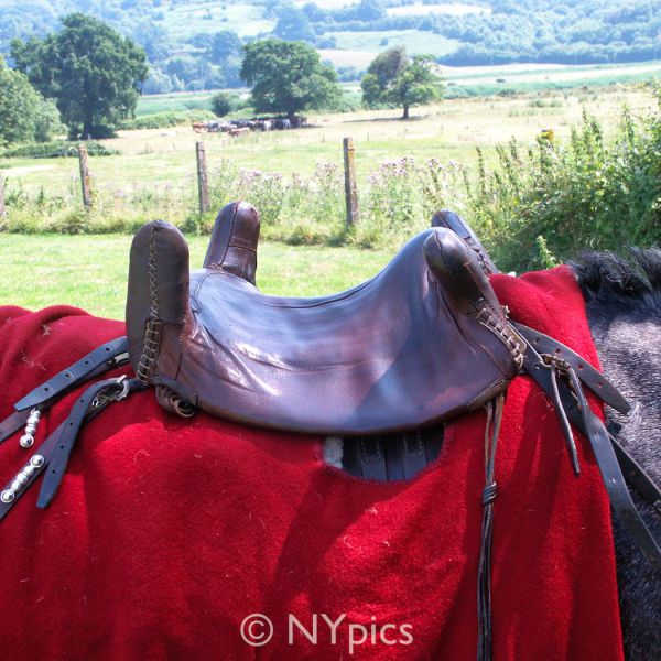 Saddle Used By Roman Cavalry